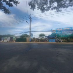 Cần sang mặt bằng cây cảnh non bộ .