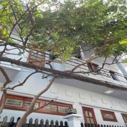 Nhà 384/23 Phạm Văn Bạch , 2 mặt tiền, 2 lầu, 5pn