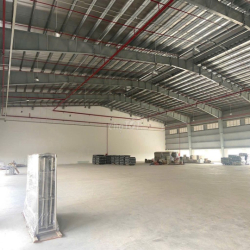 Nhà xưởng cho thuê Cần Đước 2000m2, 2850m2, 3510m2, 5000m2, 7000m2