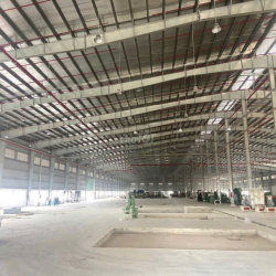 Nhà xưởng cho thuê Cần Đước 2000m2, 2850m2, 3510m2, 5000m2, 7000m2