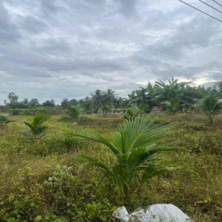 cho thuê đất mặt tiền