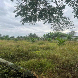 cho thuê đất mặt tiền