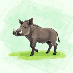 NHÀ 3PN FULL NỘI THẤT KHU K8 HIỆP THÀNH