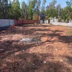 Cho thuê 4.000 m2 đất Tiến Thành-Phan Thiết, có căn nhà cấp 4