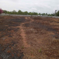 Cho thuê 4.000 m2 đất Tiến Thành-Phan Thiết, có căn nhà cấp 4