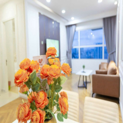 CHO THUÊ NHÀ 1PN Ở SUNRISE CITY, NHÀ ĐẸP GIÁ TỐT.