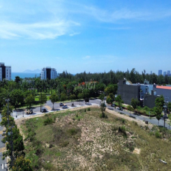 Cho thuê đất 3 mặt tiền Trường Sa, 7000m2, làm bãi xe, gara, kho bãi