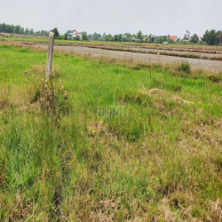 Cho thuê nhà vườn