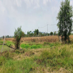 Cho thuê nhà vườn