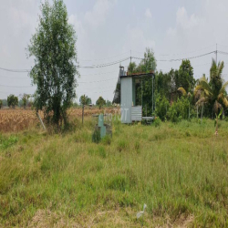 Cho thuê nhà vườn