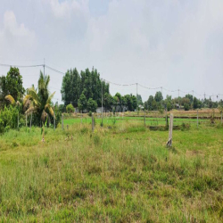 Cho thuê nhà vườn