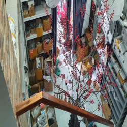 CHO THUÊ NHÀ ĐƯỜNG XE HƠI 4PN 3WC GIÁ 9TR