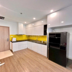 Chính chủ cho thuê căn hộ chung cư 2n1k lạc long quân