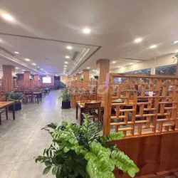 CHO THUÊ MT ĐƯỜNG MẠC ĐĨNH CHI Q1 13X36M 200TR