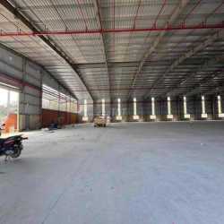 cho thủy xương Tân Uyên bình dương xương mới 100%