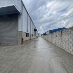 cho thủy xương Tân Uyên bình dương xương mới 100%