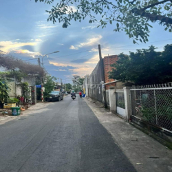 Cho thuê đất trống 550 m2 Đường Ngô Văn Sở , Phường Dĩ An, Tphcm