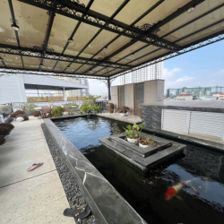 Cho thuê căn hộ Penhouse cao cấp