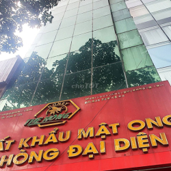 V.phòng mặt tiền Cộng Hòa 20m2 + free 20m2 p.họp - Ngày vào 15/05