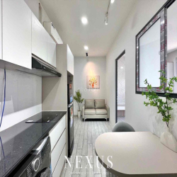 🔥 KHAI TRƯƠNG CĂN HỘ 1PN MỚI TINH – TRƯƠNG CÔNG ĐỊNH, TÂN BÌNH  🔥