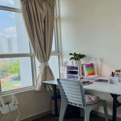 cho thuê căn hộ mini Him Lam Quận 7
