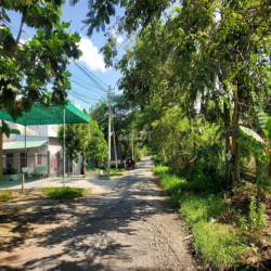 Mặt bằng cho thuê dài hạn