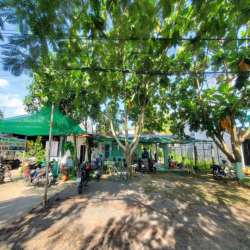 Mặt bằng cho thuê dài hạn