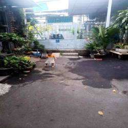 cho thue nhà nguyen căn p6 go vấp