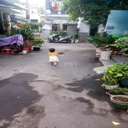 cho thue nhà nguyen căn p6 go vấp