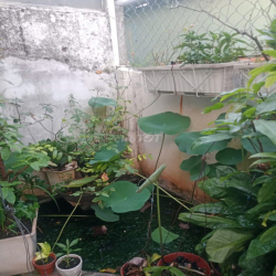 Nhà cho thuê nguyên căn 40 m2 - Phường Linh Chiểu - Thủ Đức