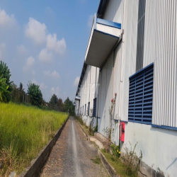 Cho thuê kho Cần Giuộc - Long An, diện tích 10000m2