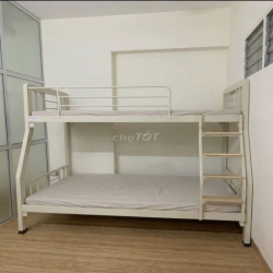 🏡 CHO THUÊ CĂN HỘ TẠI HÀ THÀNH PLAZA 102 THÁI THỊNH – ĐỐNG ĐA, HÀ NỘI