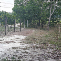 Cho thuê đất thổ cư chính chủ đã tách 5 sổ hồng giá 9,9 triệu/tháng