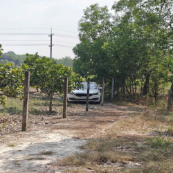 Cho thuê đất thổ cư chính chủ đã tách 5 sổ hồng giá 9,9 triệu/tháng