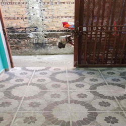 nha hem 103 nguyễn thị thập 3x12m2 co 3PN3wc