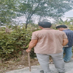 đất nền thổ cư cho thuê 