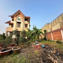 Mặt bằng 2.000m² tại An Phú Đông 9