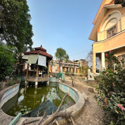 Mặt bằng 2.000m² tại An Phú Đông 9