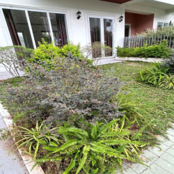 Cho Thuê Nhà Phố Biệt Thự Dragon Village chỉ 13 tr