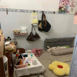 pass nhà nguyên căng cách trường đại học văn lang cơ sở 3 50m