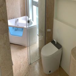 CHO THUÊ BIỆT THỰ CAO CẤP 15,8x20 — Thạnh Mỹ Lợi HCM