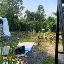 Cho thuê mặt bằng làm vườn, kho bãi 200m2 an phú đông, bv hồng đức 2