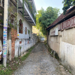 Cho thuê mặt bằng làm vườn, kho bãi 200m2 an phú đông, bv hồng đức 2