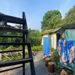 Cho thuê mặt bằng làm vườn, kho bãi 200m2 an phú đông, bv hồng đức 2