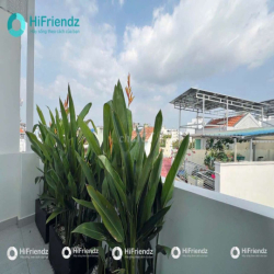 KHAI TRƯƠNG DUPLEX BANCOL SIÊU THOÁNG CÓ MÁY GIẶT RIÊNG