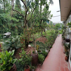 Cho thuê nhà vuờn Phú Diễn 55m2 6tr/1 tháng