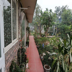 Cho thuê nhà vuờn Phú Diễn 55m2 6tr/1 tháng