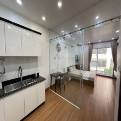Cho thuê căn hộ (40m2) 1 ngủ tách bếp tại Waterfront City.