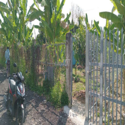 Cho thuê 1400m2 đất vườn