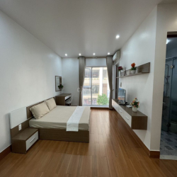 Cho thuê căn hộ (40m2) 1 ngủ tách bếp tại Waterfront City.